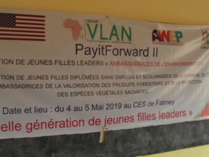 Seance de formation sur les produits forestiers dans la commune de Falmey, région de Dosso.